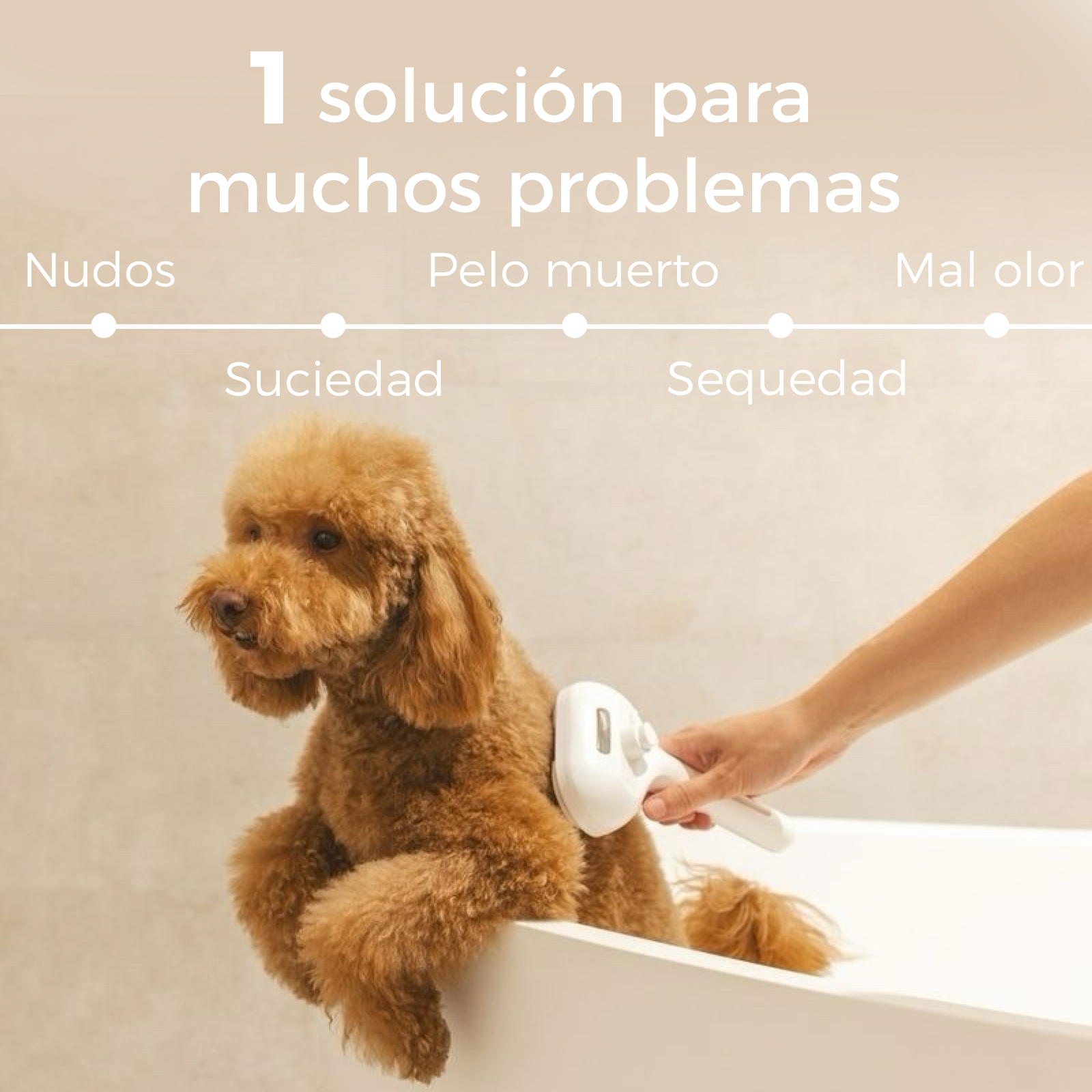 FurClean One