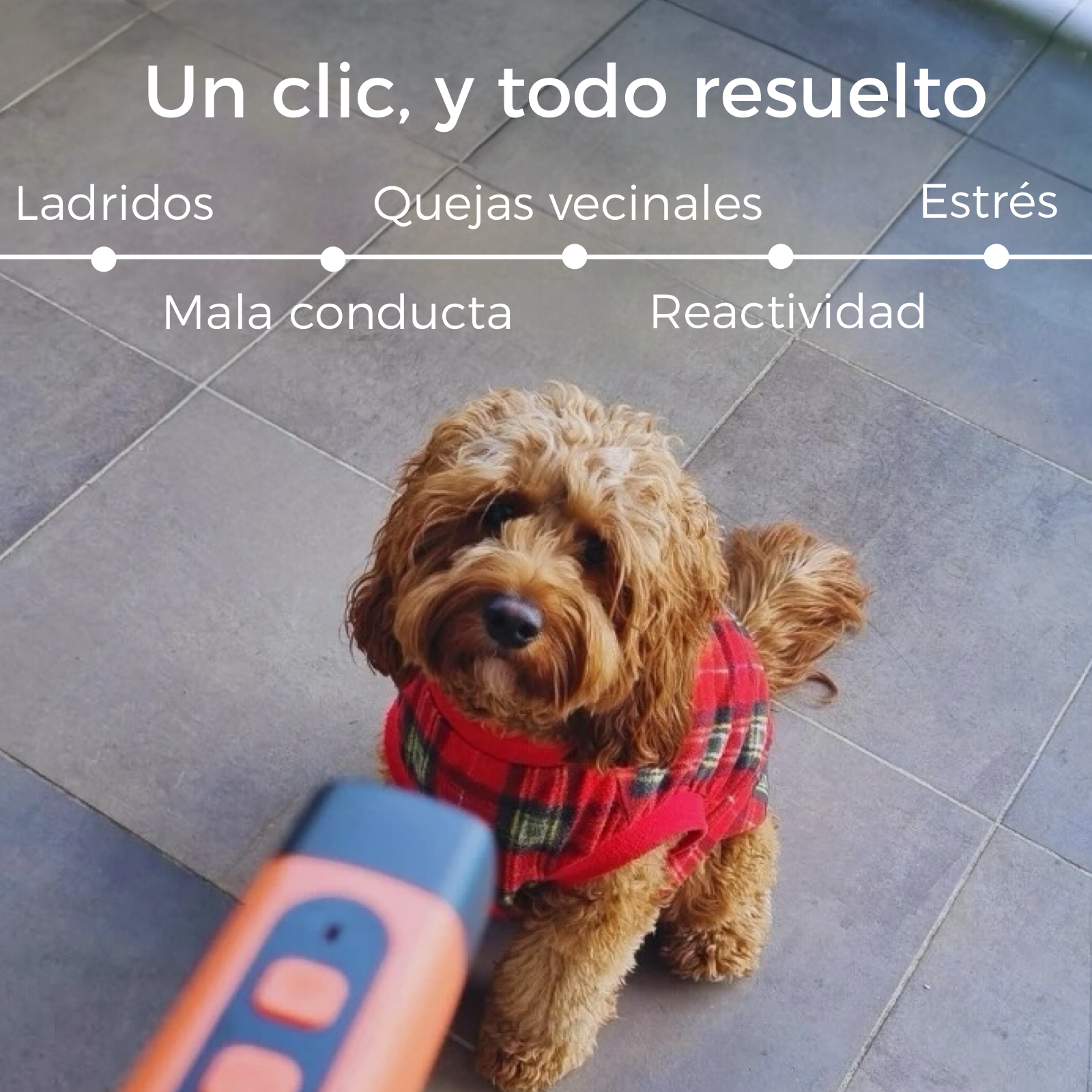 BarkStop Pro