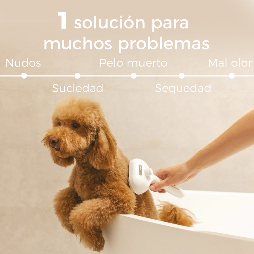 FurClean One