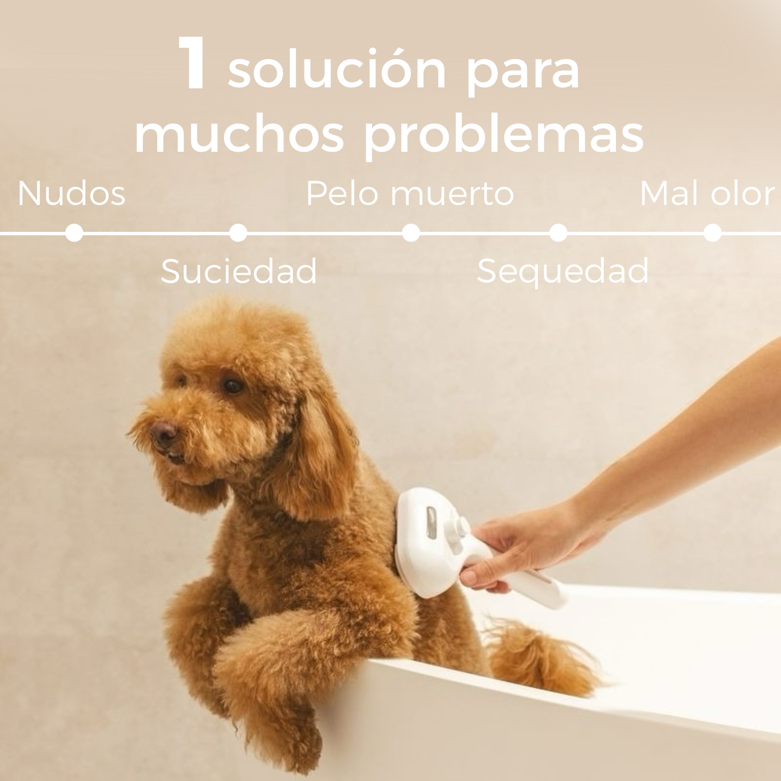 FurClean One