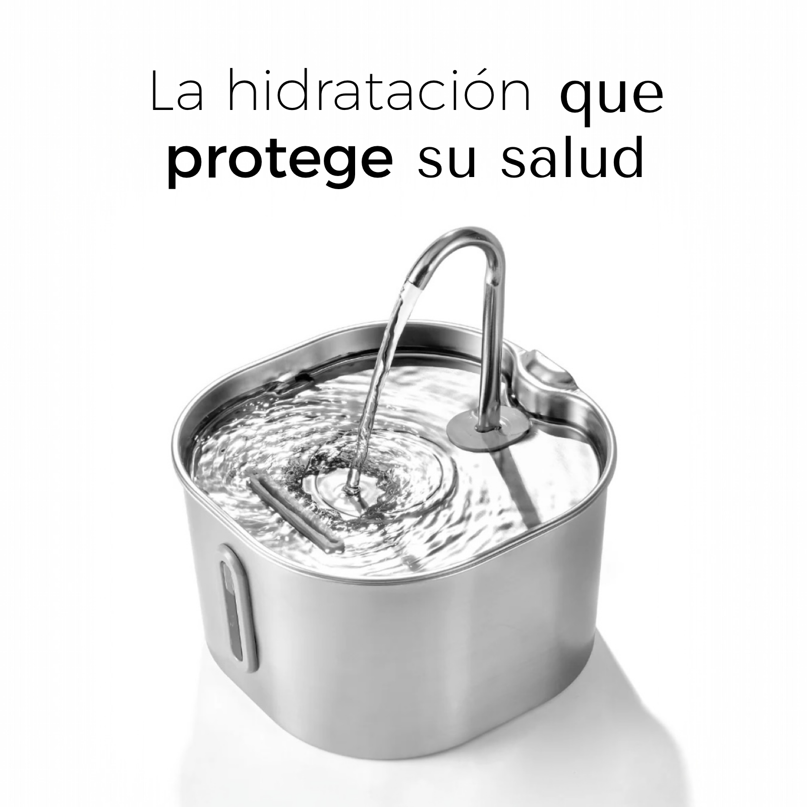 ZenCat Plus 2,2L