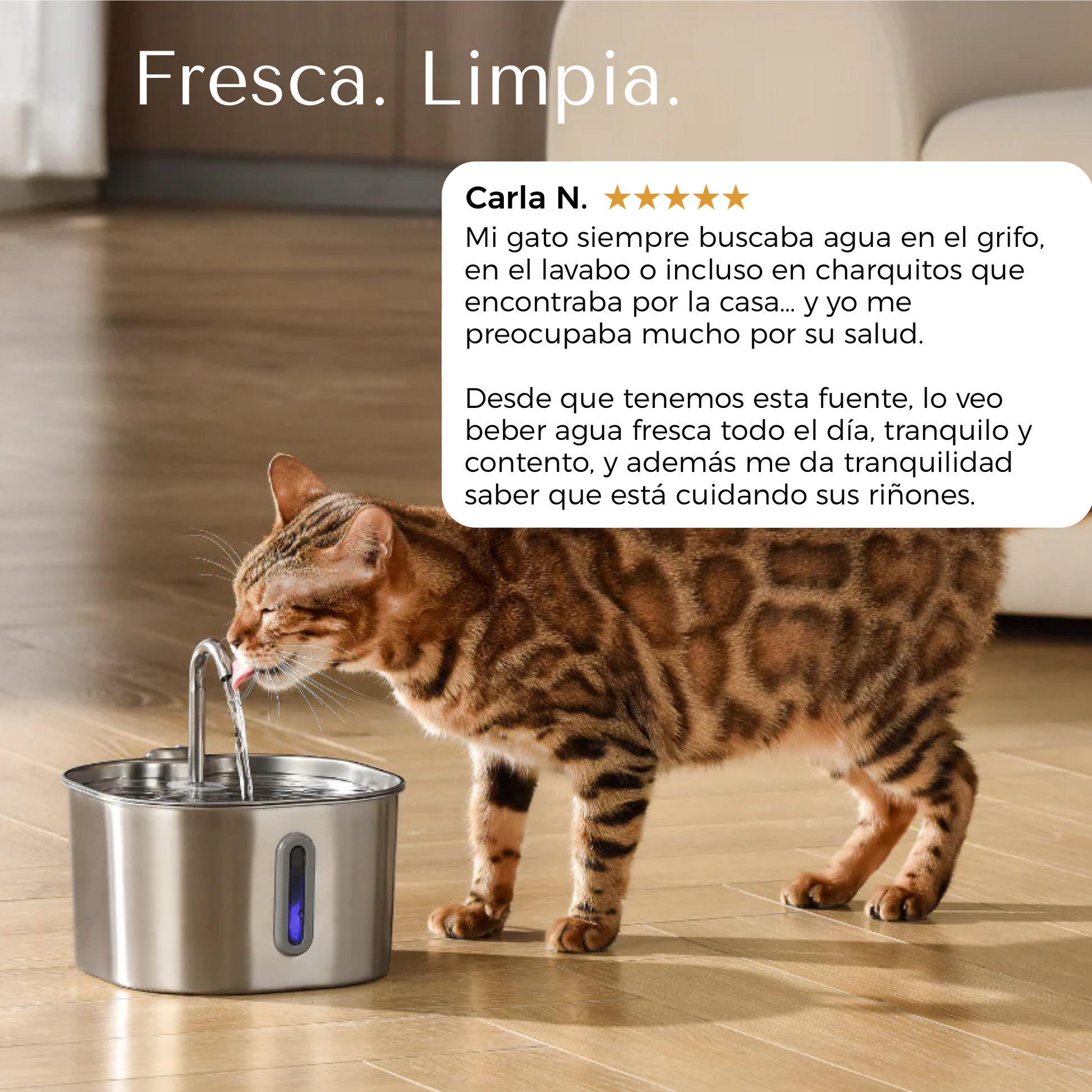 ZenCat Plus 2,2L