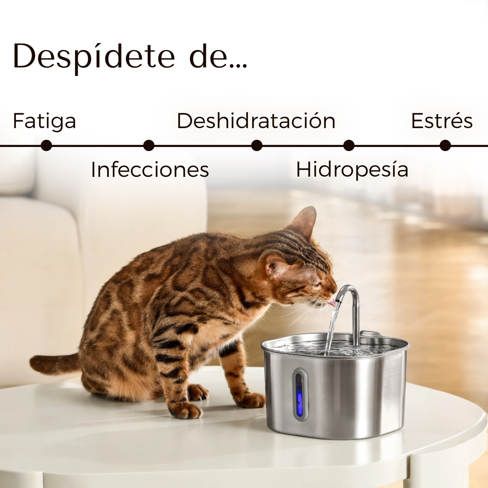 ZenCat Plus 2,2L