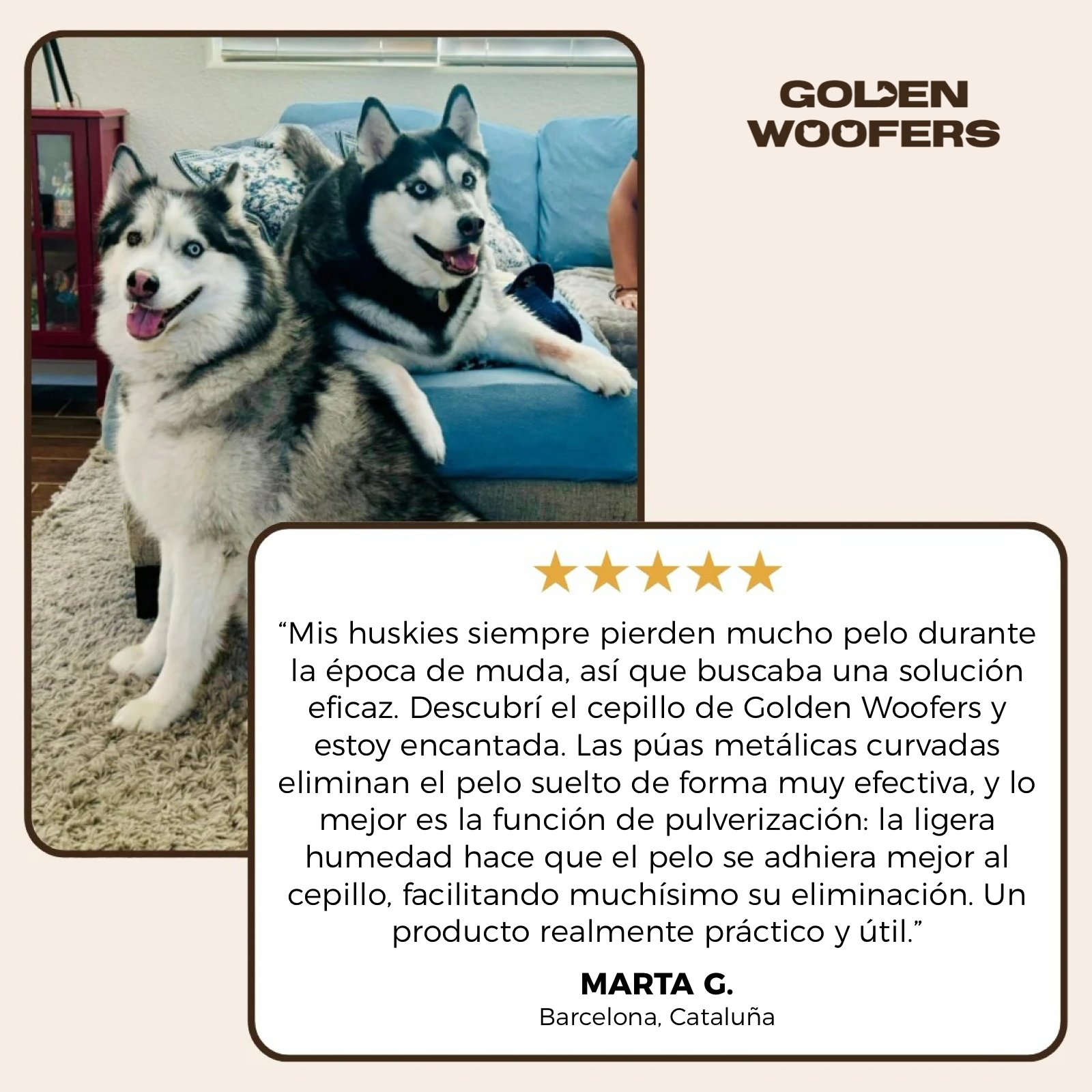 FurClean One - Cepillo Profesional 2 EN 1 para Mascotas