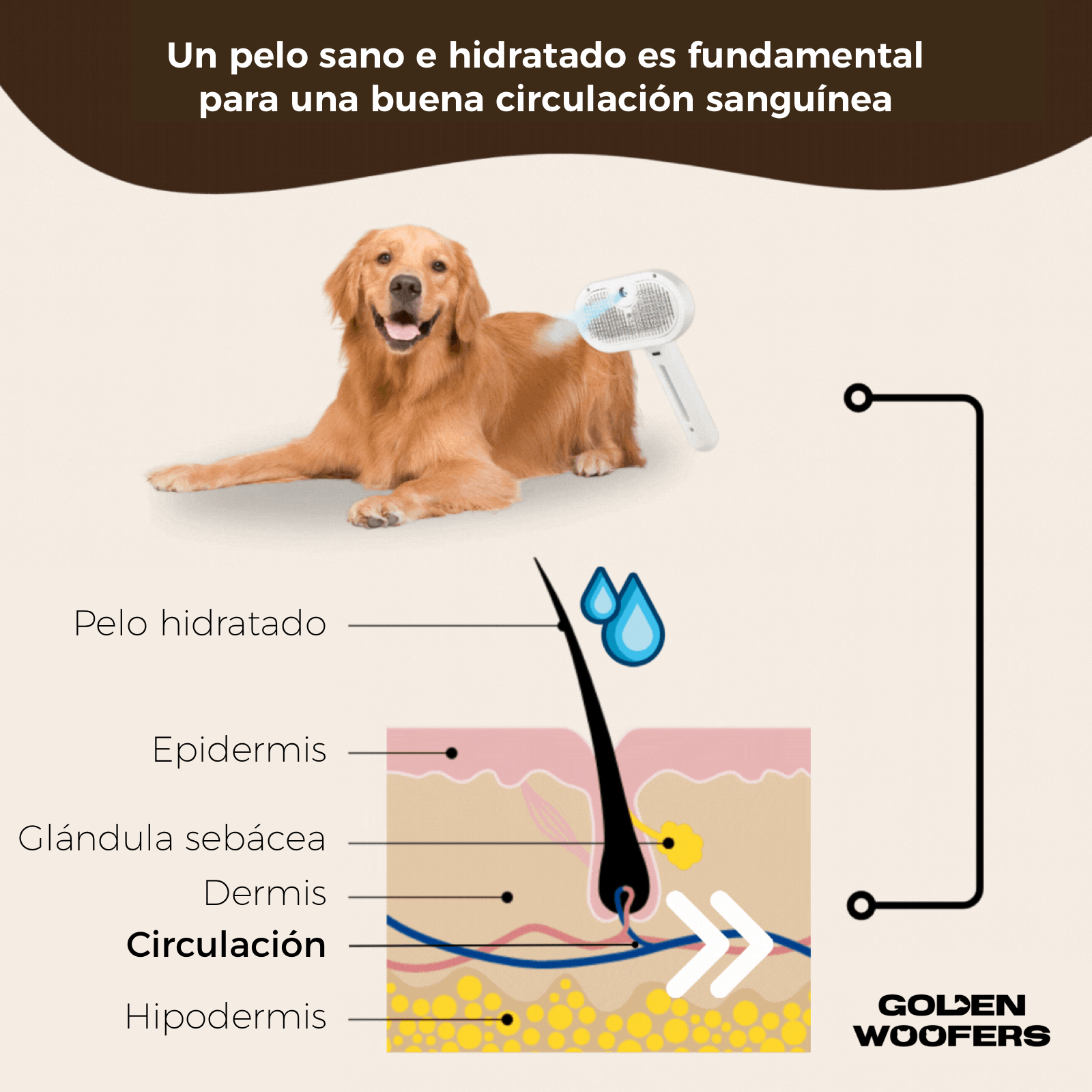 FurClean One - Cepillo Profesional 2 EN 1 para Mascotas
