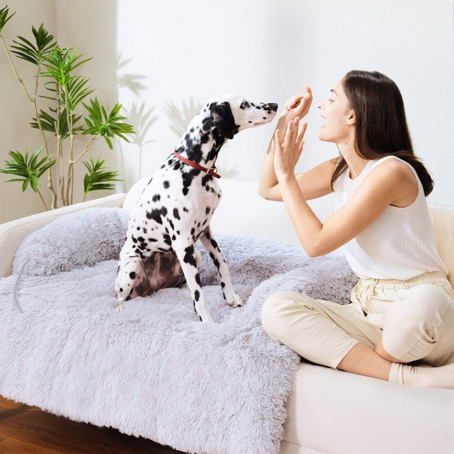 SnooCam - Cama multifunción para perros