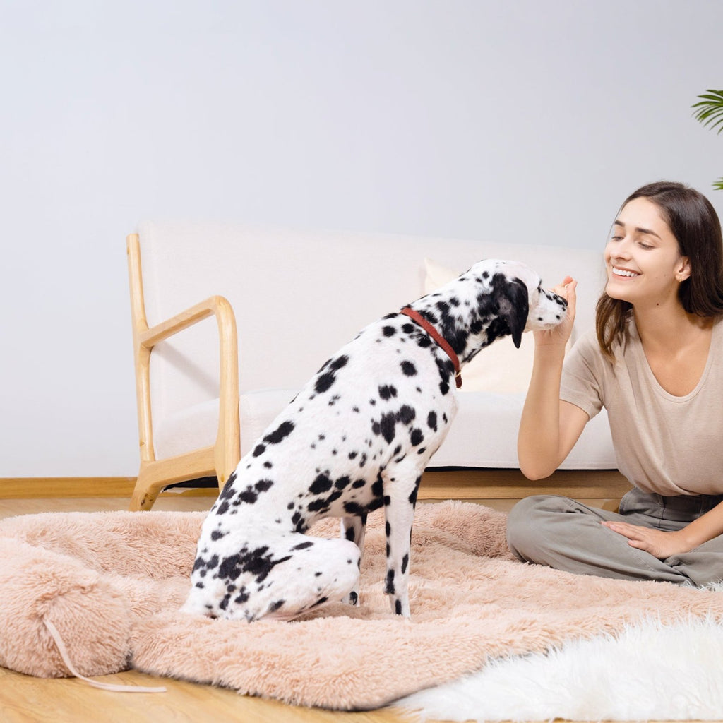 SnooCam - Cama multifunción para perros