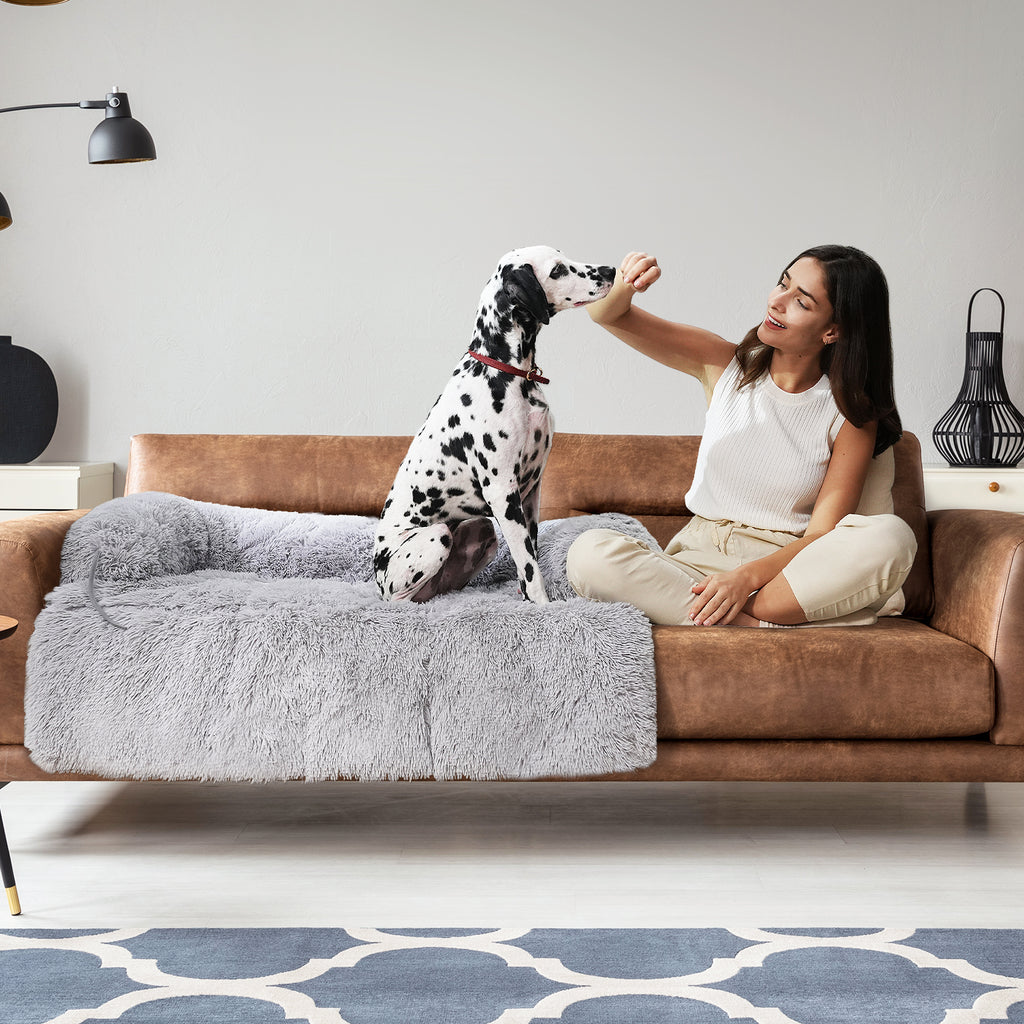 SnooCam - Cama multifunción para perros