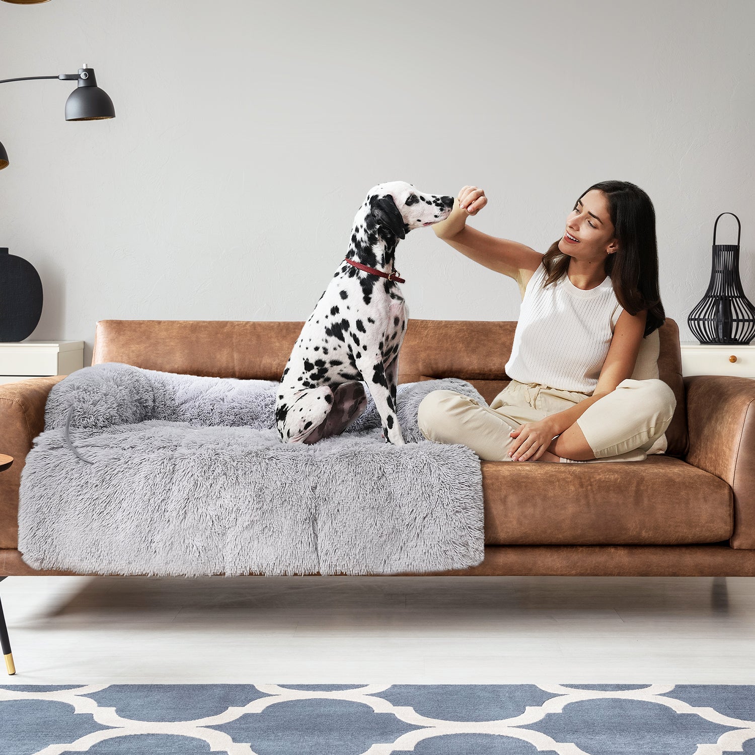 SnooCam - Cama multifunción para perros