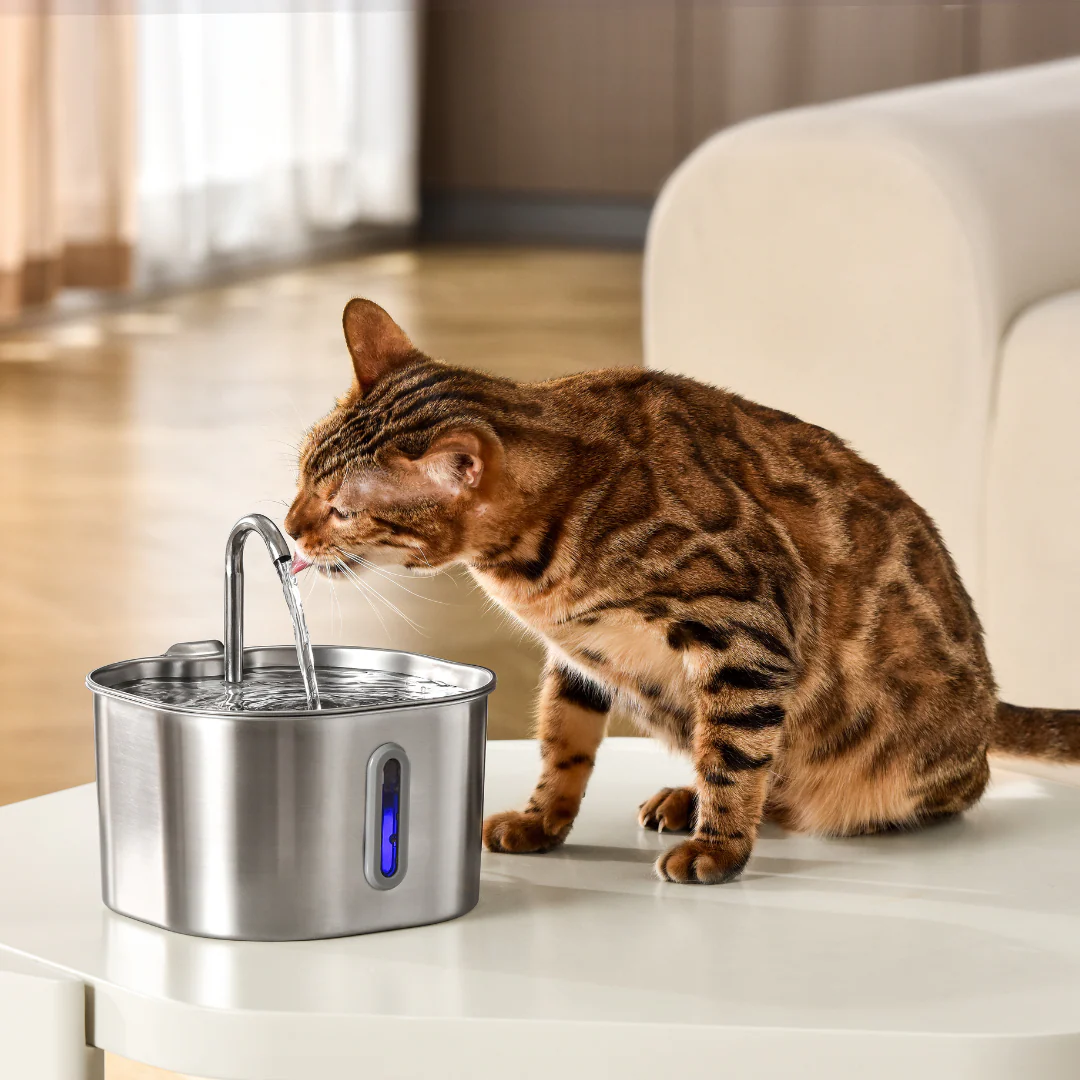 ZenCat Plus 2,2L