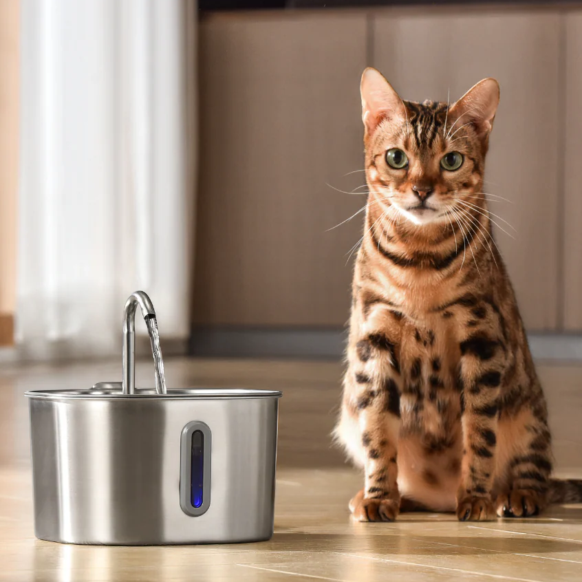 ZenCat Plus 2,2L