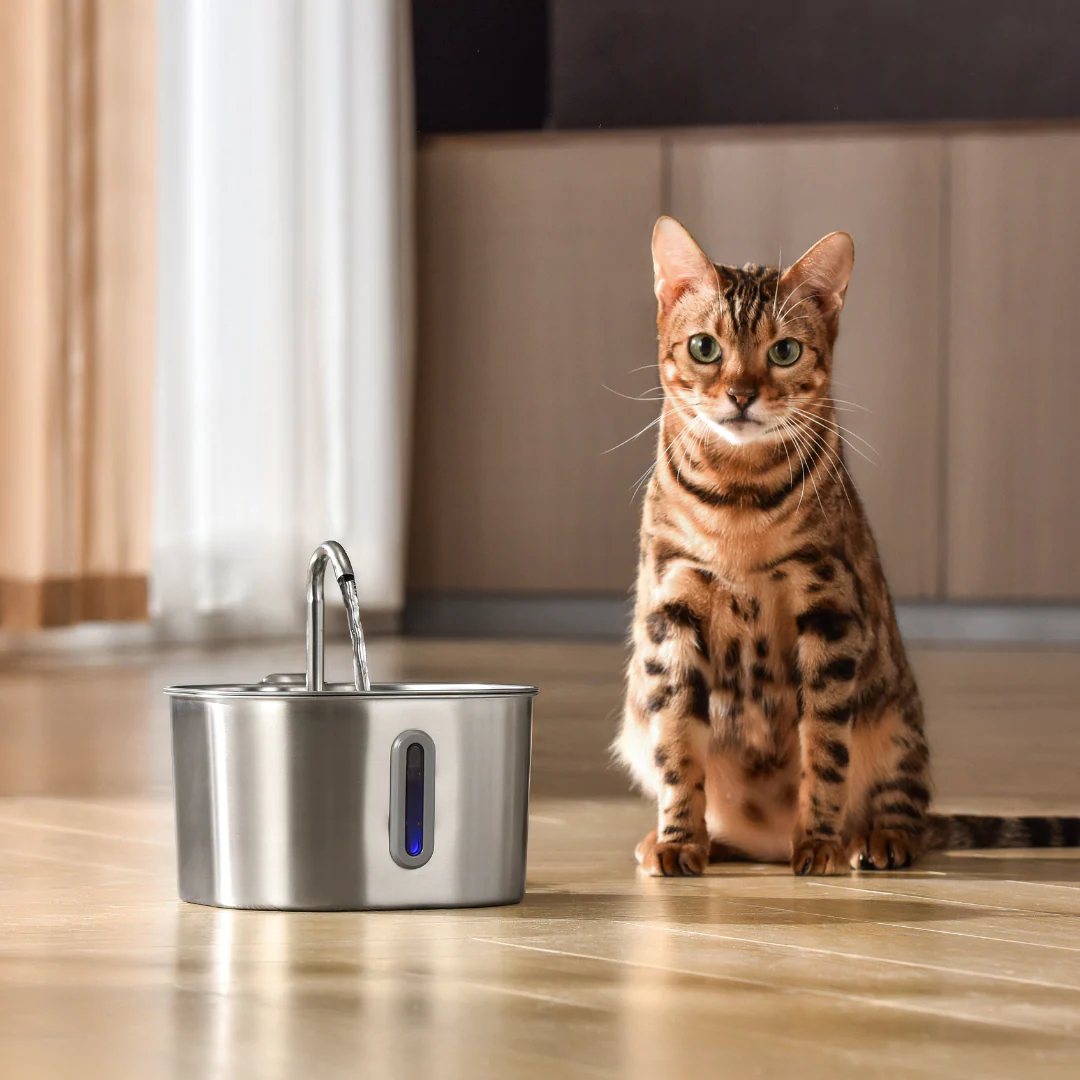 ZenCat Plus 2,2L